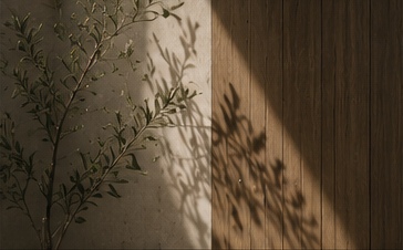 Olive shadows falling across a timber and plaster wall